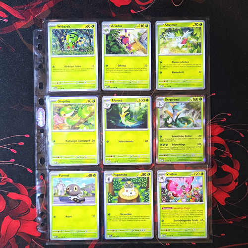 Pokémon tcg komplettes - |,